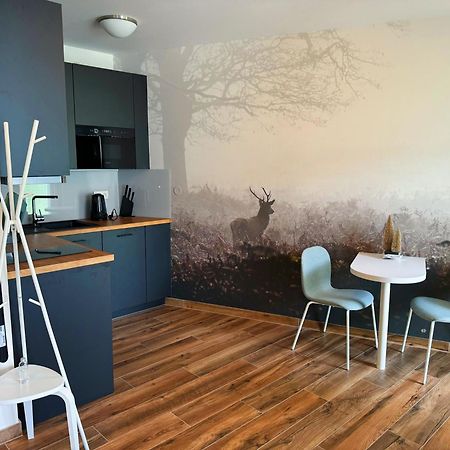 Horsky Apartman Klinovecke Louky 120-4 Loučná pod Klínovcem 外观 照片